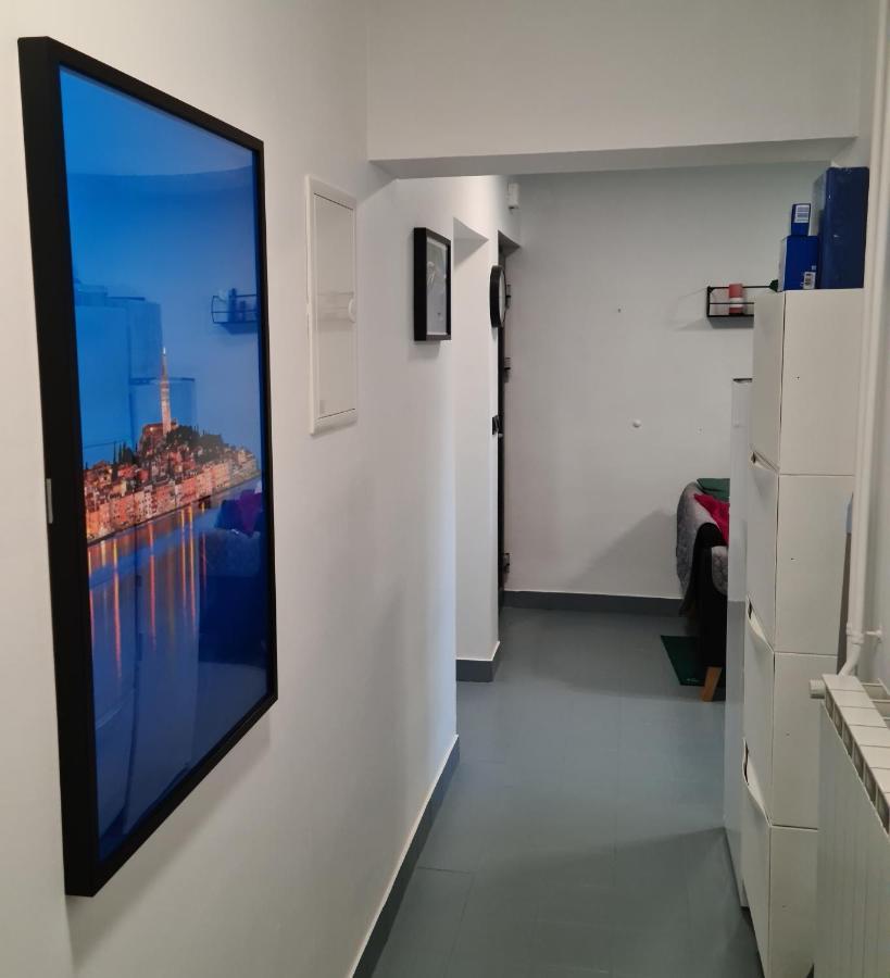 Villa Rosa With Yard And Children'S Playground Tar-Vabriga エクステリア 写真