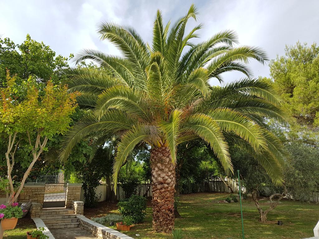 Villa Rosa With Yard And Children'S Playground Tar-Vabriga エクステリア 写真