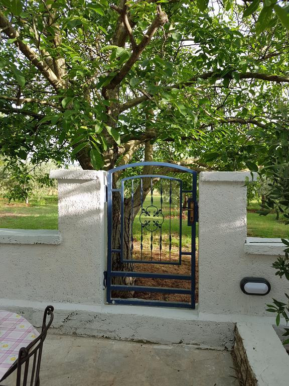 Villa Rosa With Yard And Children'S Playground Tar-Vabriga エクステリア 写真