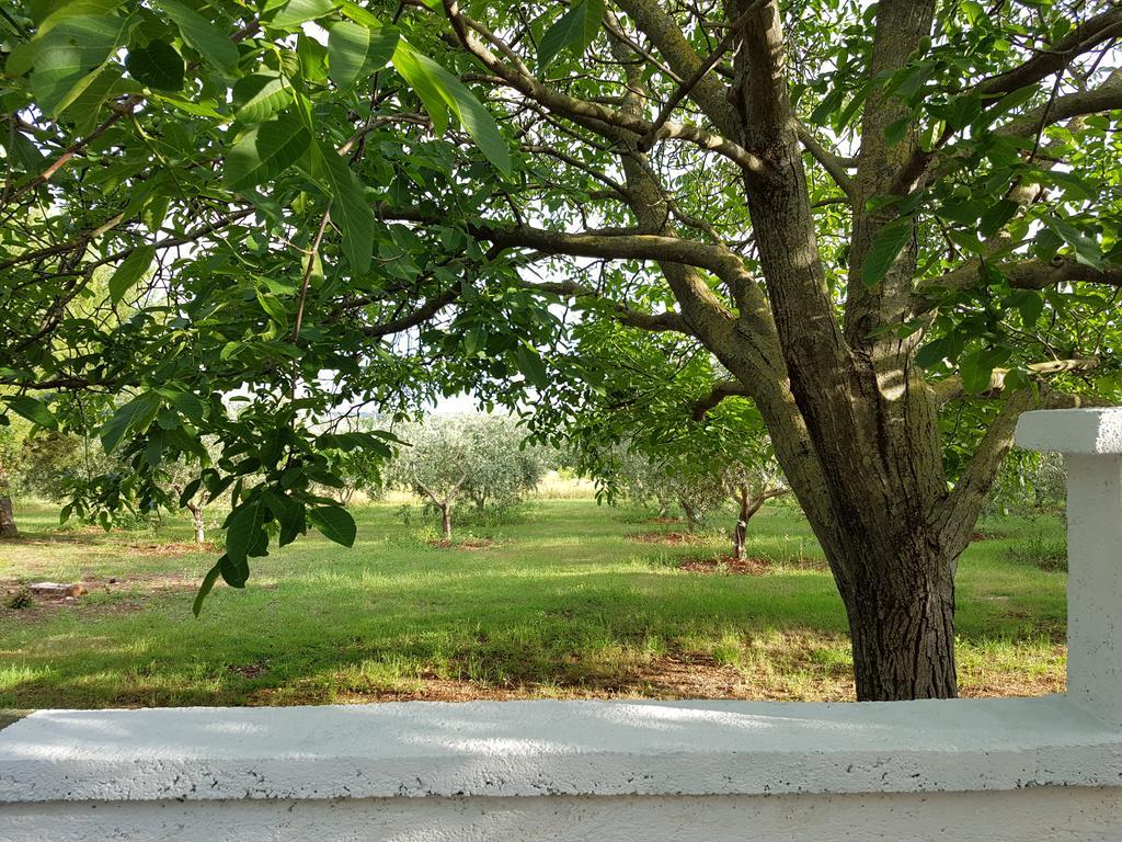 Villa Rosa With Yard And Children'S Playground Tar-Vabriga エクステリア 写真