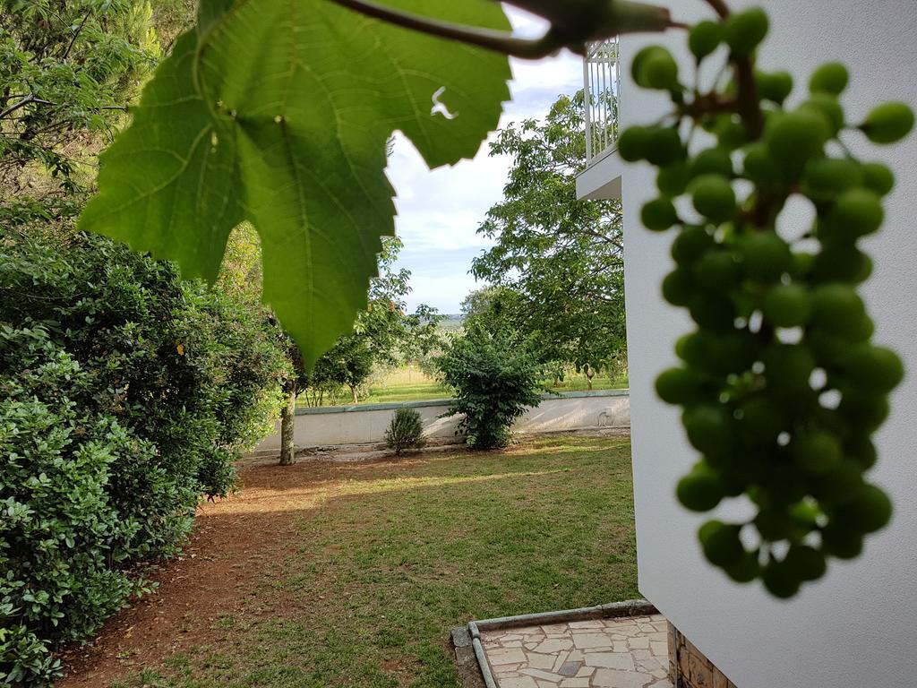 Villa Rosa With Yard And Children'S Playground Tar-Vabriga エクステリア 写真