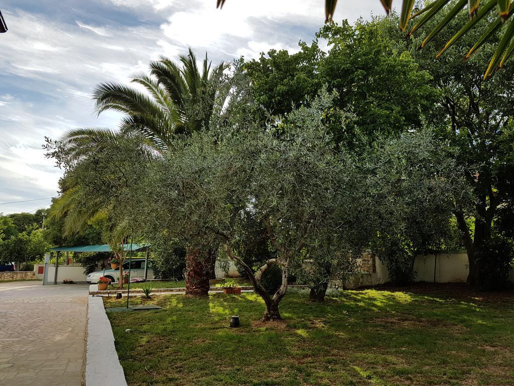 Villa Rosa With Yard And Children'S Playground Tar-Vabriga エクステリア 写真